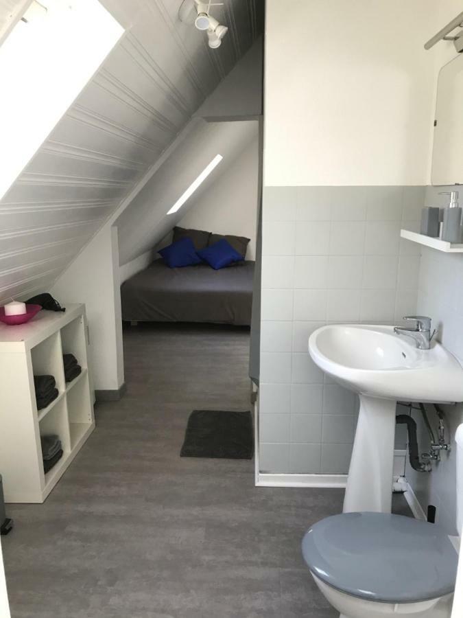F1 Atypique Au Centre De Strasbourg Apartamento Exterior foto